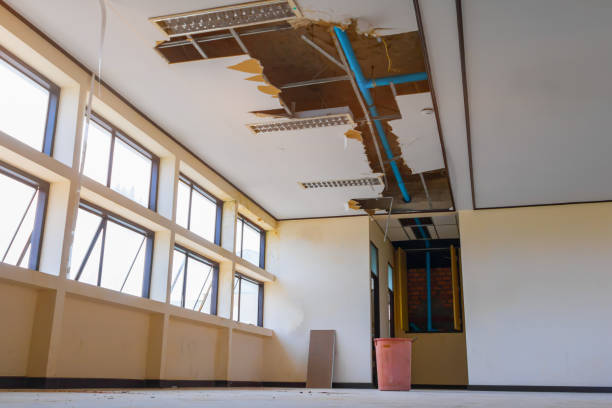 Best Carpet water damage restoration  in Drexel Hill, PA