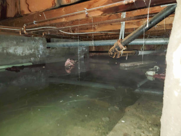Best Emergency water extraction  in Drexel Hill, PA