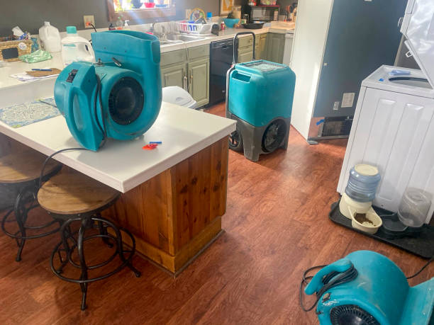 Best Water damage restoration specialists  in Drexel Hill, PA