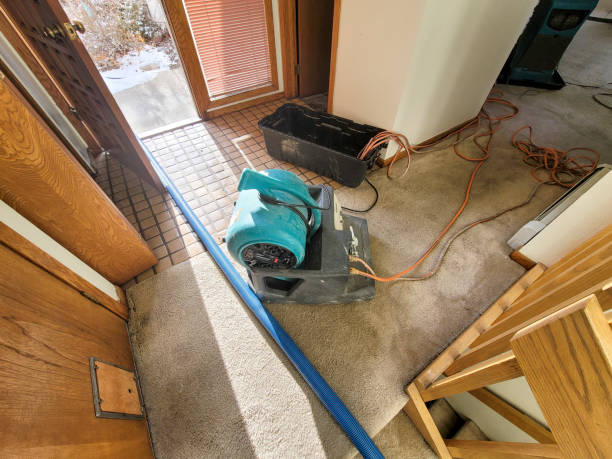 Best Mold removal after water damage  in Drexel Hill, PA