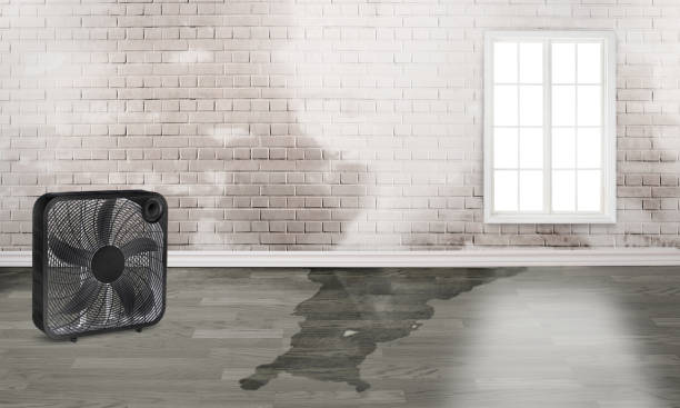 Best Water damage restoration near me  in Drexel Hill, PA