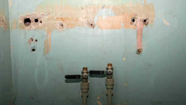 Best Professional water damage repair  in Drexel Hill, PA