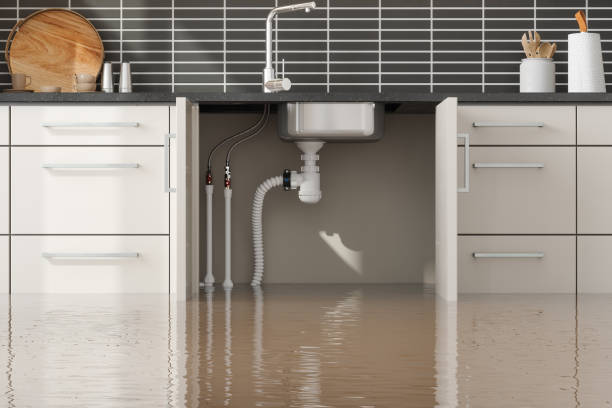 Best Flood restoration services  in Drexel Hill, PA