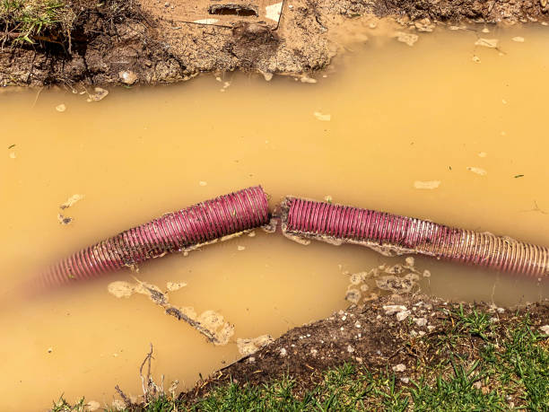 Best Professional water damage repair  in Drexel Hill, PA