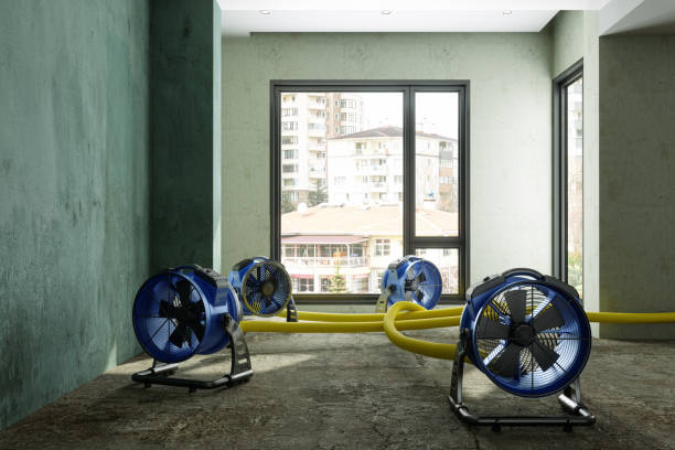 Best Water damage restoration near me  in Drexel Hill, PA